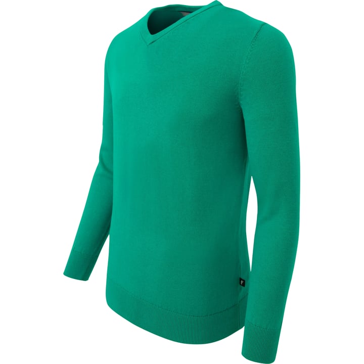 Henk ter Horst Herren Pullover mit V-Ausschnitt | 100% Baumwolle | Unifarben | Grün